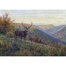 РЕПРОДУКЦИИ НА КАРТИНИ Стадо елени в планините Харц (1892)